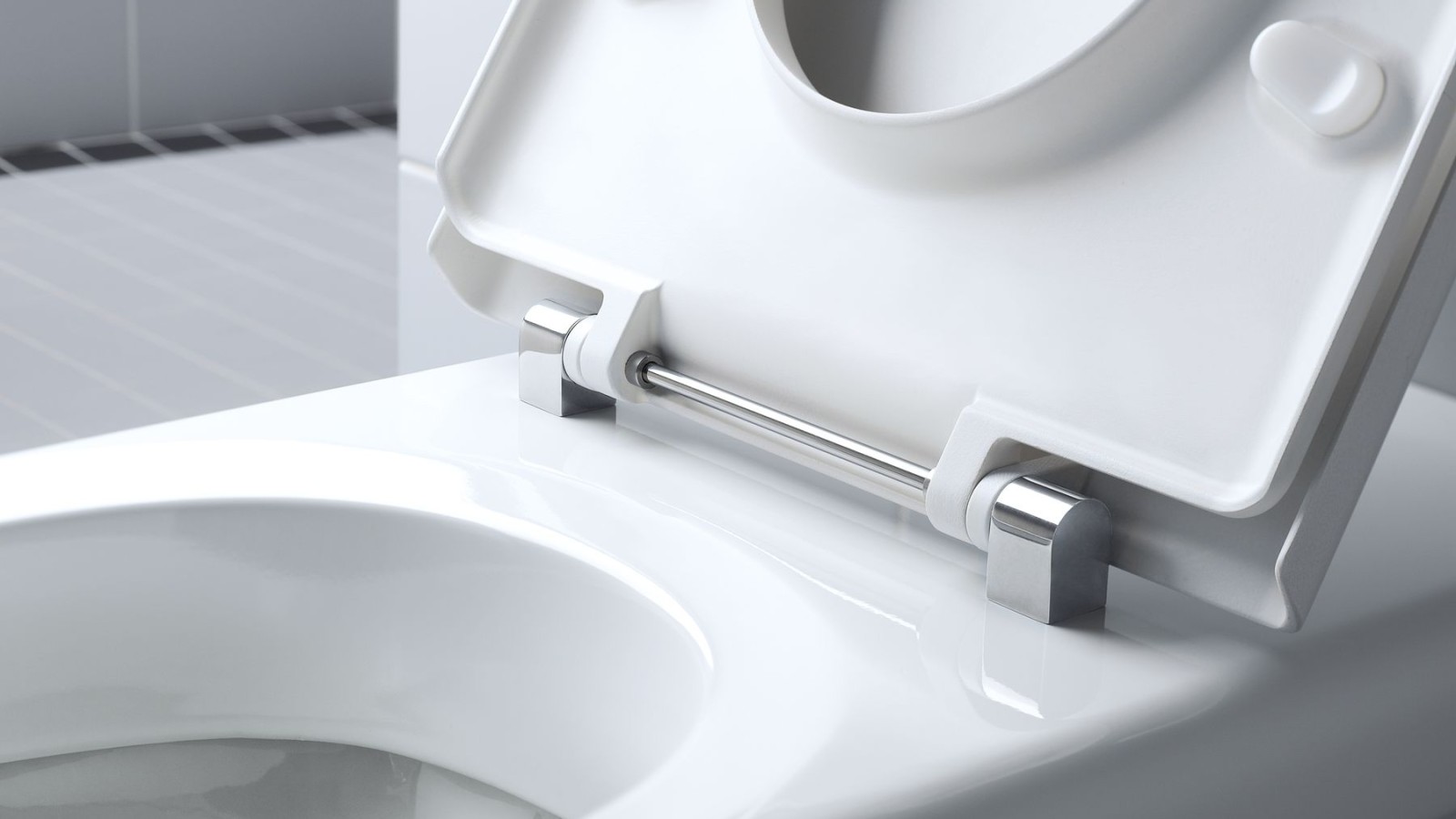 Geberit Renova Comfort WC with stainless steel hinge bar Geberit Renova Comfort WC with stainless steel hinge bar