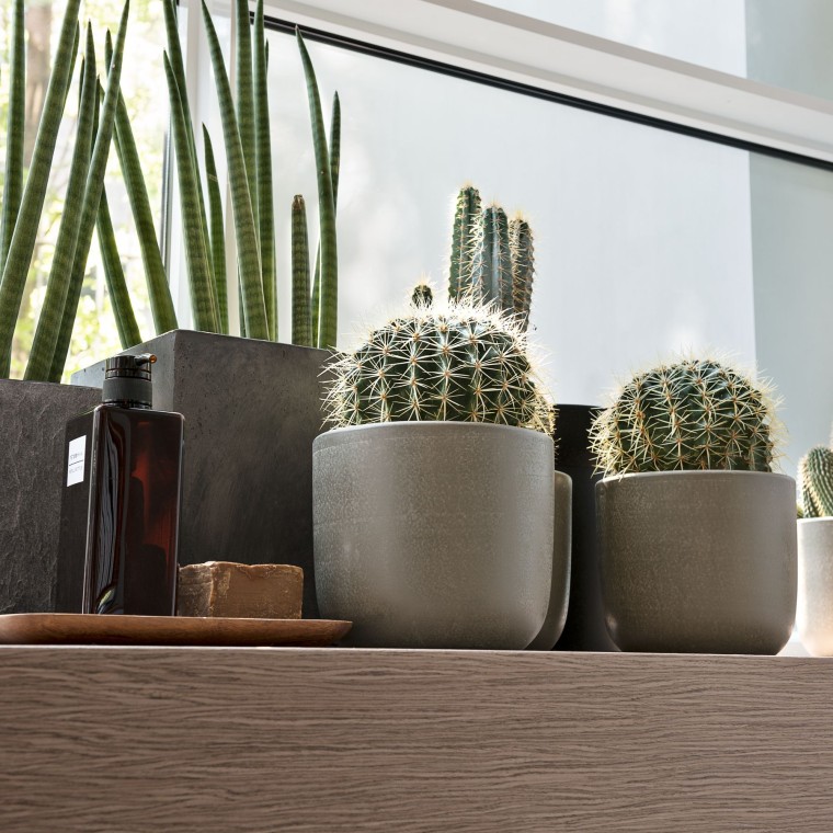 Diverse planter i vinduskarmen