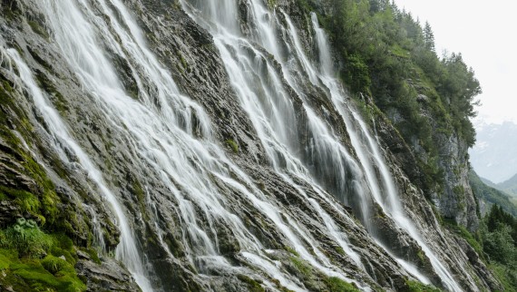 Foss i grønne omgivelser (© Geberit)