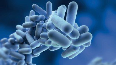 Drikkevannshygiene, legionella