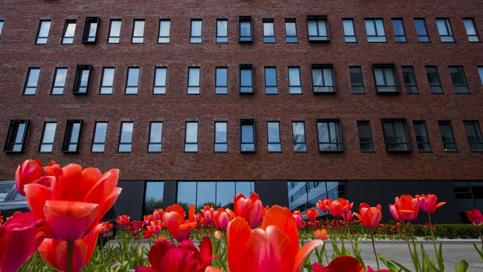 Tidligere en fabrikkbygning, nå en studenthybel: LivinnX i Krakow (PL) (© Jaroslaw Kakal/Geberit) Tidligere en fabrikkbygning, nå en studenthybel: LivinnX i Krakow (PL) (© Jaroslaw Kakal/Geberit)